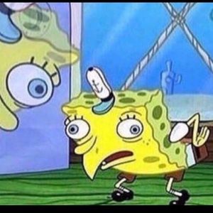 Meet your Posher, Katherine